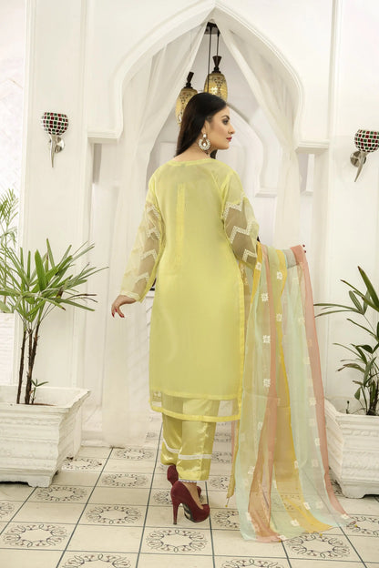 IshDeena Indian Dresses for Women Party Wear Suits Pakistani Formal Wedding Outfits V20HH0522S1ID2