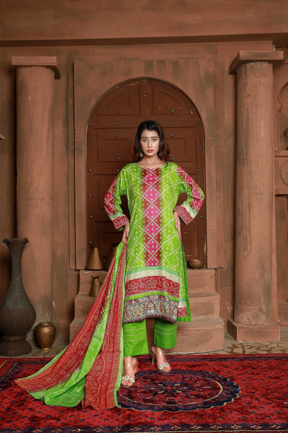 IshDeena Pakistani Lawn Salwar Kameez Indian Dresses for Women Ready to Wear Printed - IshDeena