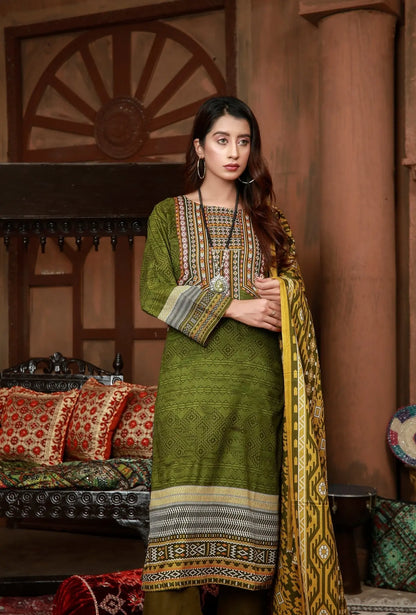 IshDeena Pakistani Lawn Salwar Kameez Indian Dresses for Women Ready to Wear Printed - IshDeena