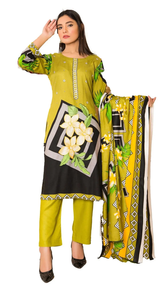 IshDeena Pakistani Salwar Kameez Indian Dresses for Women Ready to Wear Embroider Merino - IshDeena