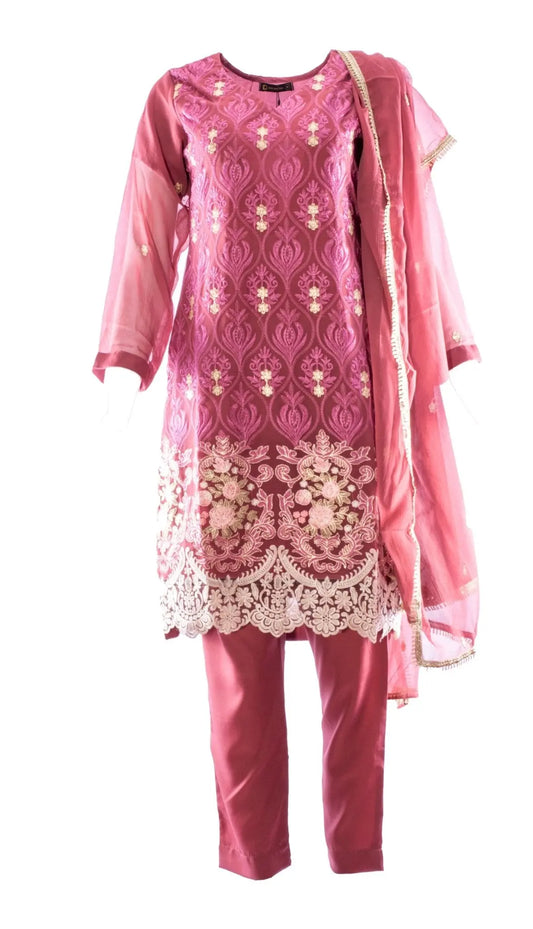 IshDeena Party Wear Fancy Outfits Indian Pakistani Dresses for Women Traditional Outfits - IshDeena