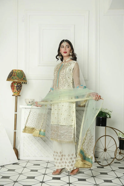 IshDeena Party Wear Formal Outfits Indian Pakistani Wedding Dresses for Women Designer - IshDeena