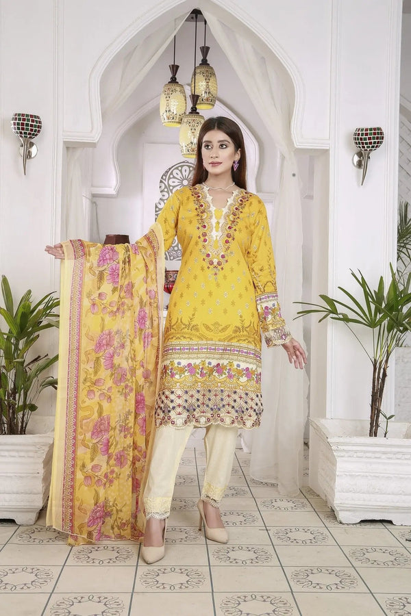 IshDeena Indian Dresses for Women Party Wear Pakistani Salwar Kameez Suit Ready to Wear - IshDeena