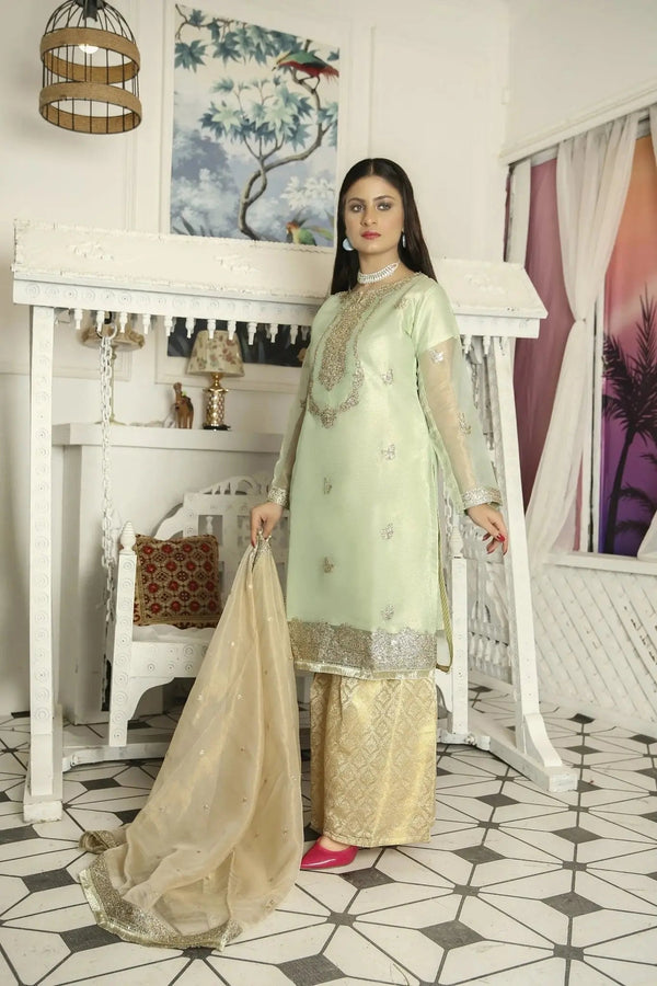 IshDeena Indian Dresses for Women Party Wear Suits Pakistani Formal Wedding Outfits - IshDeena