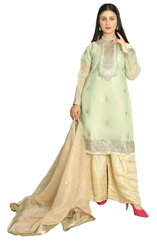 IshDeena Indian Dresses for Women Party Wear Suits Pakistani Formal Wedding Outfits - IshDeena