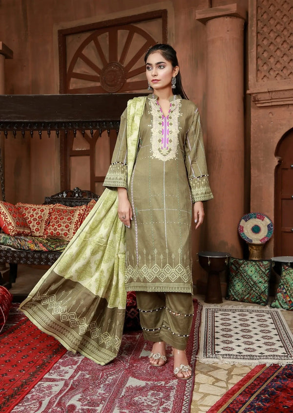 IshDeena Pakistani Lawn Salwar Kameez Indian Dresses for Women Ready to Wear Printed - IshDeena