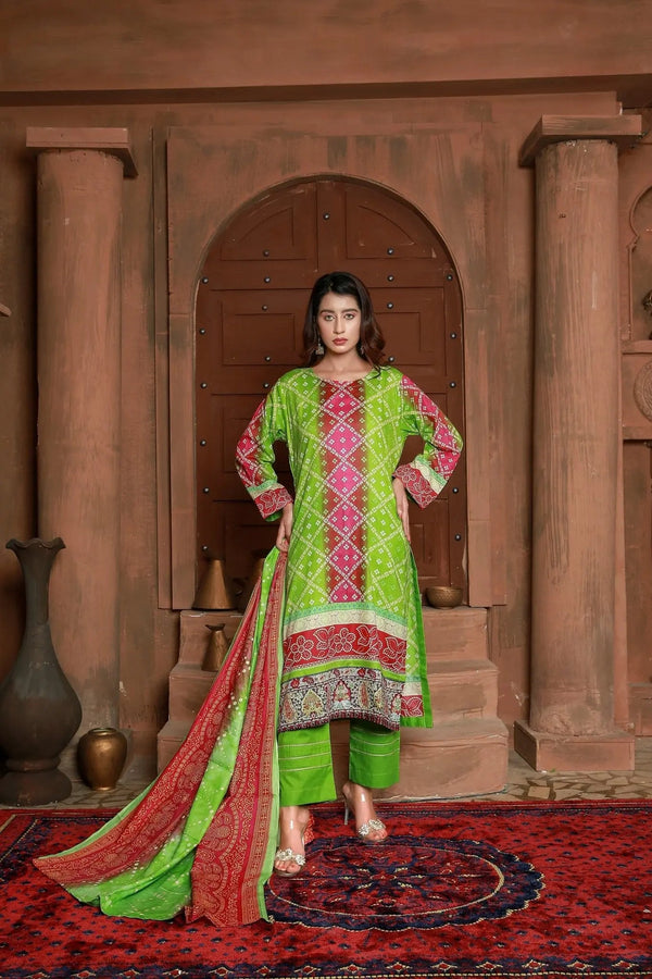 IshDeena Pakistani Lawn Salwar Kameez Indian Dresses for Women Ready to Wear Printed - IshDeena