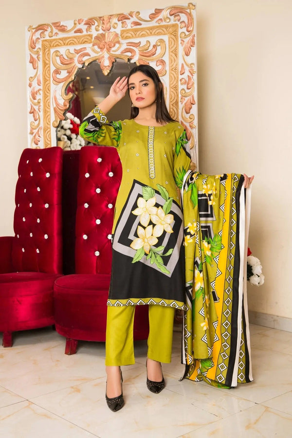 IshDeena Pakistani Salwar Kameez Indian Dresses for Women Ready to Wear Embroider Merino - IshDeena