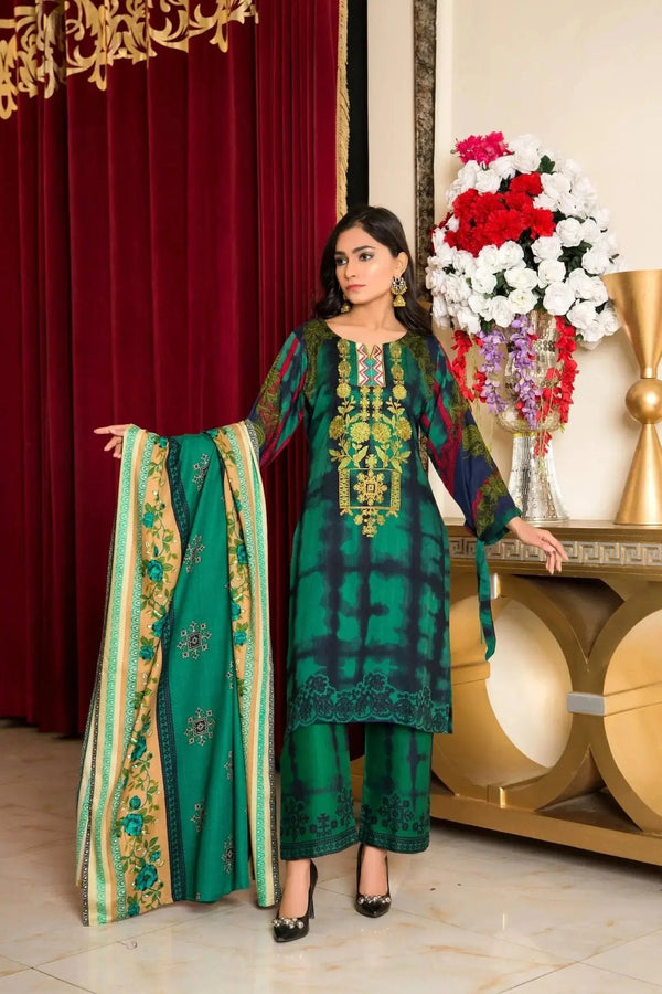 IshDeena Pakistani Salwar Kameez Indian Dresses for Women Ready to Wear Embroider Merino - IshDeena