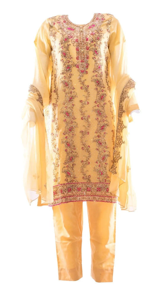 IshDeena Party Wear Fancy Outfits Indian Pakistani Dresses for Women Traditional Outfits - IshDeena