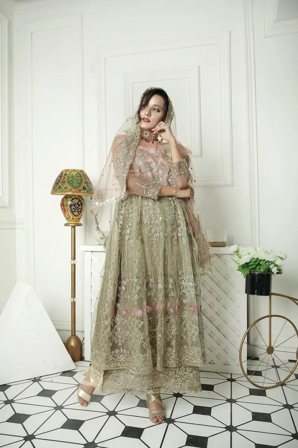 IshDeena Party Wear Formal Outfits Indian Pakistani Wedding Dresses for Women Designer - IshDeena