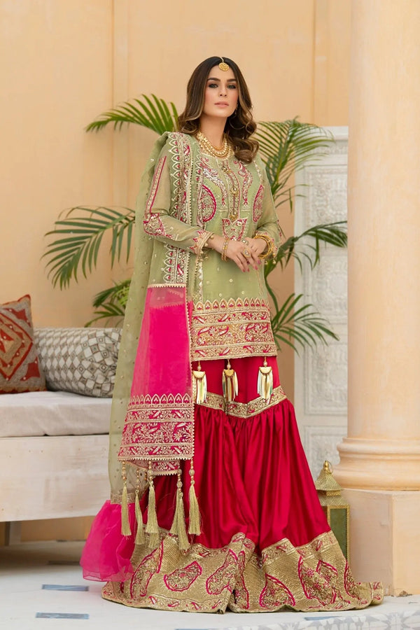 IshDeena Party Wear Formal Outfits Indian Pakistani Wedding Dresses for Women Designer - IshDeena