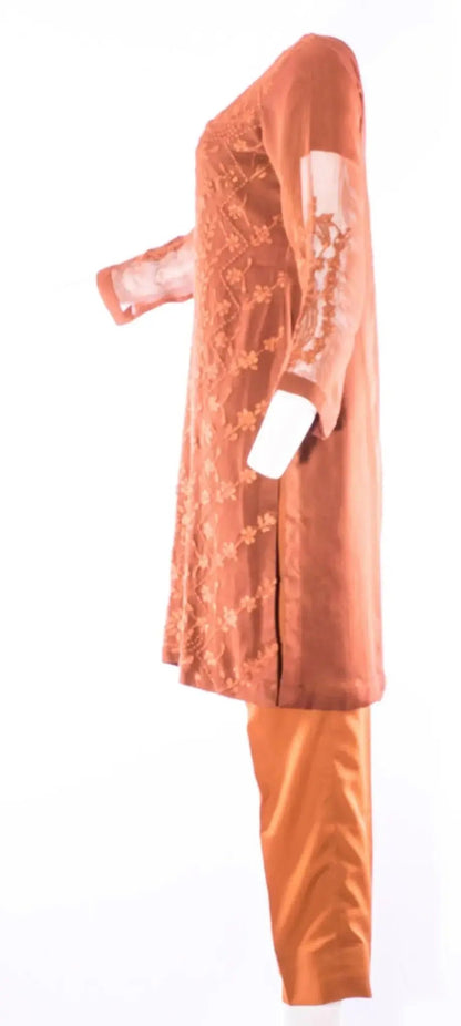 IshDeena Party Wear Fancy Outfits Indian Pakistani Dresses for Women Traditional Outfits - IshDeena