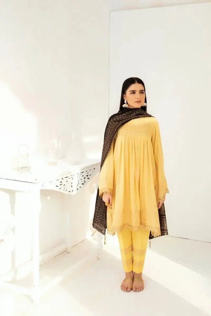 Indian Pakistani women Party Designer Dress Bollywood Salwar Kameez Palazzo  Suit | eBay