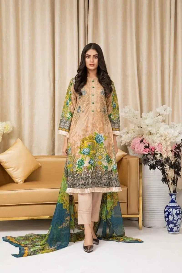 IshDeena Pakistani Dresses for Women Ready to Wear Salwar Kameez Ladies Suit - 3 Piece (Extra Small, Apricot - Embroidery Vol3)
