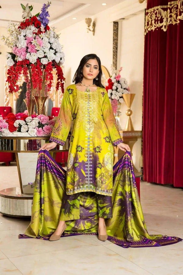 IshDeena Pakistani Salwar Kameez Indian Dresses for Women Ready to Wear Embroider Merino - IshDeena